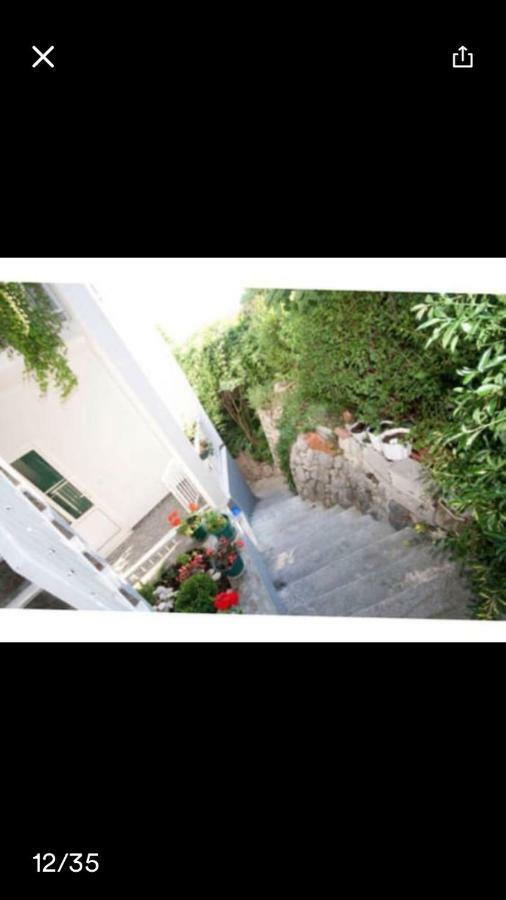 Nina Appartement